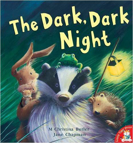 Getekende kaft van The dark, dark night waarop een das, kikker, woelmuis, konijn en egel met een nachtlamp de kijker aankijken tegen een groene grasachterige achtergrond.