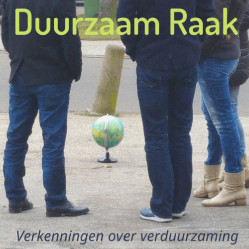 Logo van Duurzaam Raak: een groep mensen staat om een globe op een stoep.