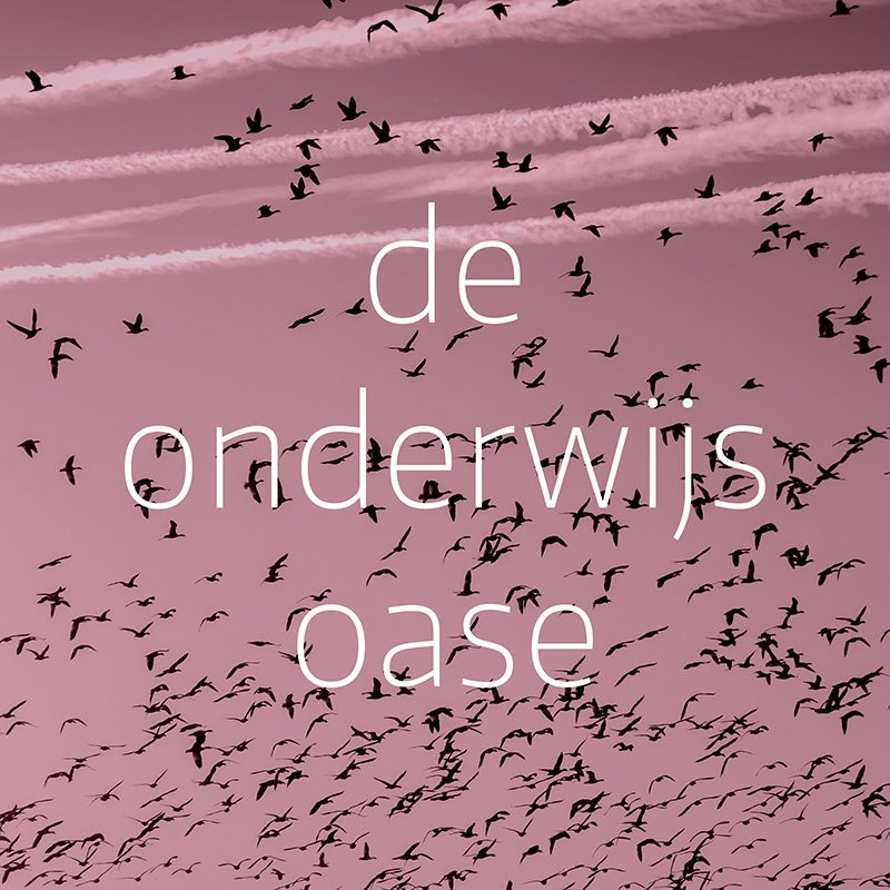 Een roze achtergrond met een zwerm vogels in zwart. Daaroverheen de witte titel van de podcast Onderwijs Oase.