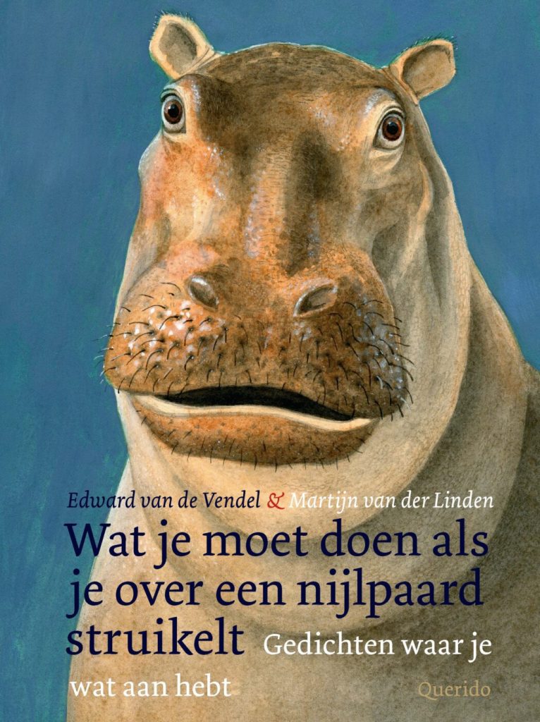 Kaft van Wat je moet doen als je over een nijlpaard struikelt met een getekend Nijlpaard met een vriendelijke blik op een blauwe achtergrond.